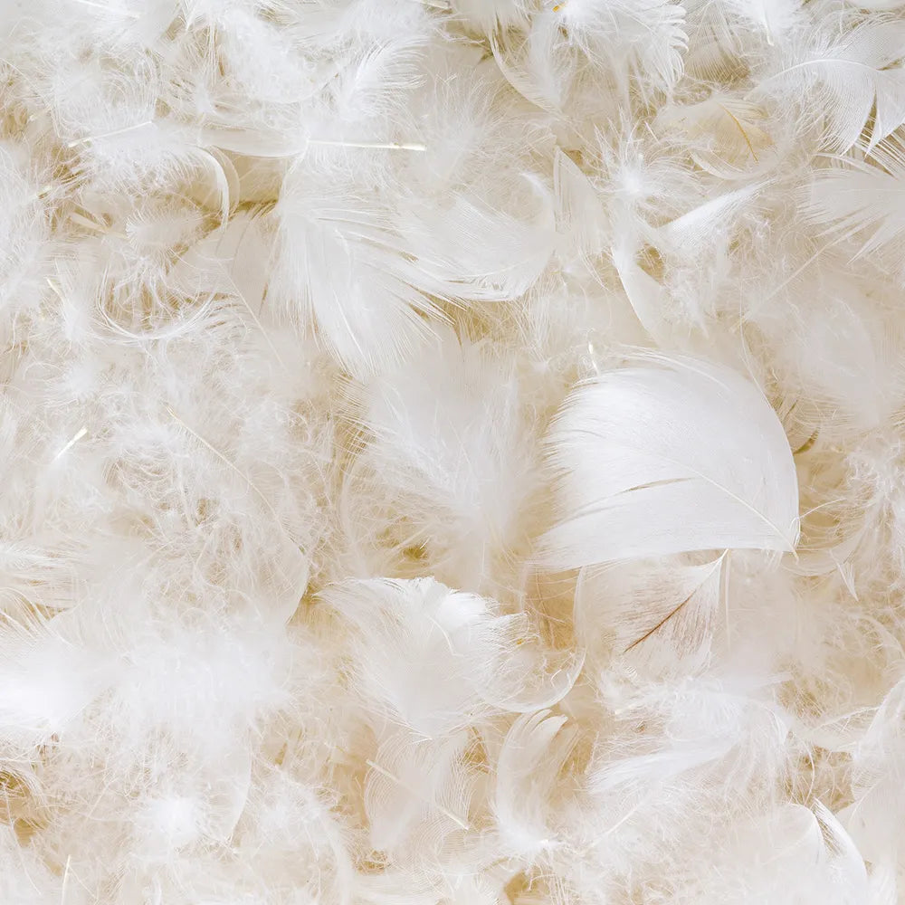 Naturepedic Down Pillow with Organic Cotton Fabric