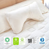 Naturepedic Organic Latex Side Sleeper Pillow