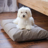 FLOOR MODEL: Medium Naturepedic Organic Pet Bed with Washable Waterproof Cover