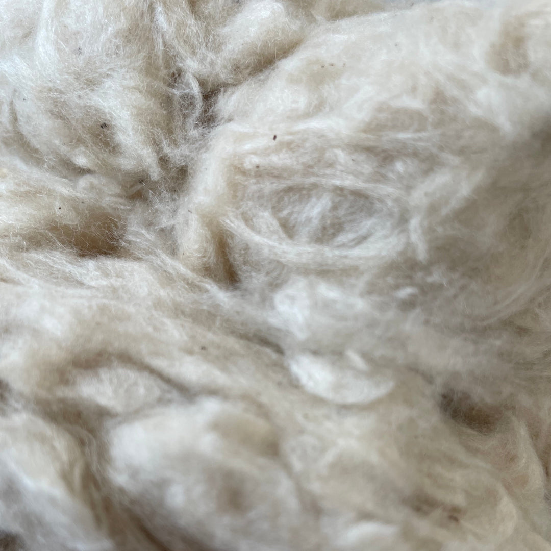 Ceiba Kapok Pillow
