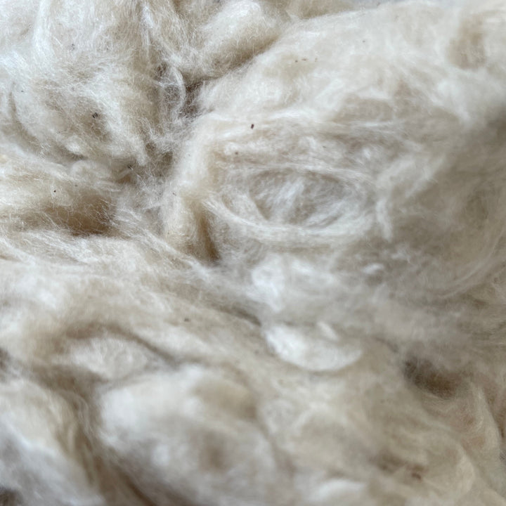 Ceiba Kapok Pillow