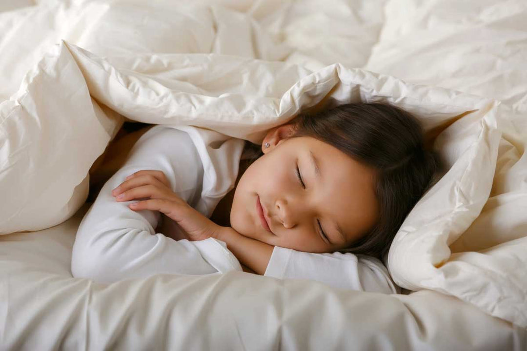 myMerino® Organic Wool Comforter — product photo 4