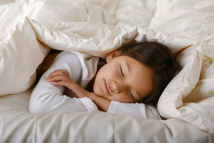myMerino® Organic Wool Comforter — product photo 4