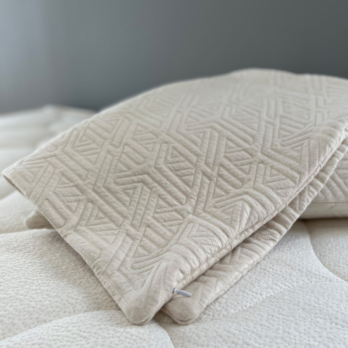Organic Cotton Pillow Protector King Size - 100% Cotton GOTS Certified Pillow Case Protector with Zipper - Hypoallergenic Machine Washable Edge Piping & Breathable Cover - 2 Pack (Ivory, Queen Organic Cotton Pillow Protector King Size - 100% Cotton GOTS Certified Pillow Case Protector with Zipper - Hypoallergenic Machine Washable Edge Piping & Breathable Cover - 2 Pack (Ivory, Queen